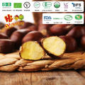 high quality hebei kuancheng chestnut